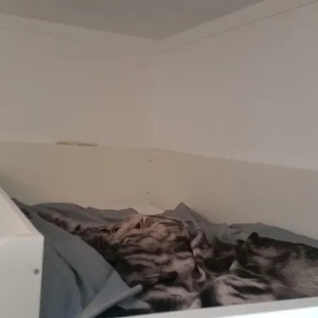 Apartamento Lagoa Apartamento